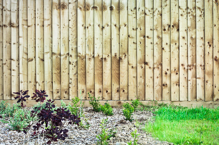 Nature Photograph - Fence #1 by Tom Gowanlock