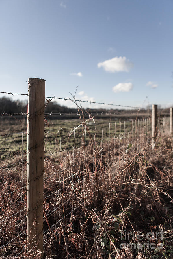 Nature Photograph - Fence With Winter Blue Sky #1 by Chris Blake