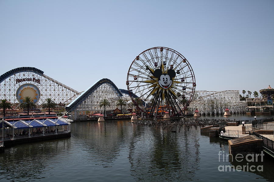 Ferris Wheel and Roller Coaster - Paradise Pier - Disney California Adventure - Anaheim California - #1 Photograph by Wingsdomain Art and Photography