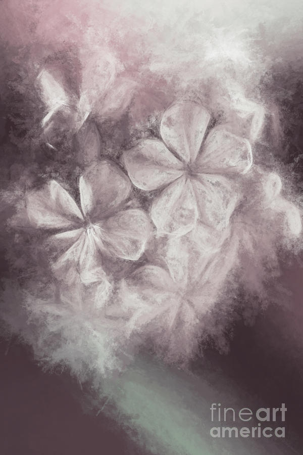 Fibonacci Flowers In Energy Manipulation Calculus Digital Art