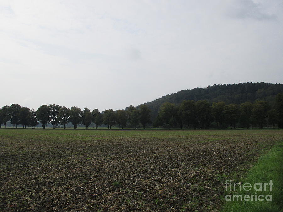 Field near Munich #1 Photograph by Chani Demuijlder