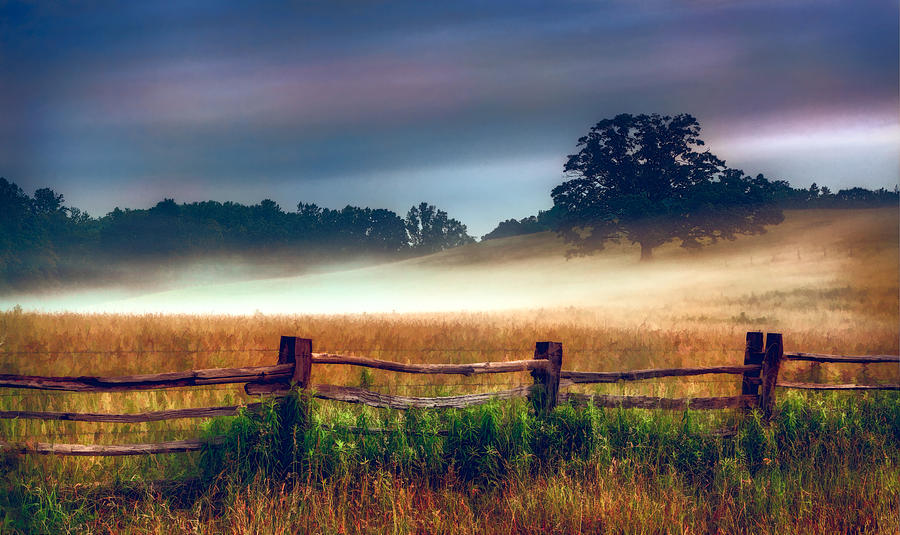 Field of Fog - Blue Ridge Mountains II Painting by Dan Carmichael ...