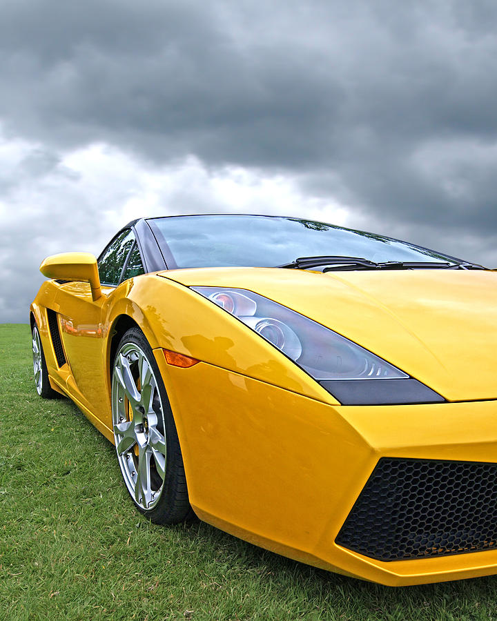 Field of Gold - Lamborghini Photograph by Gill Billington