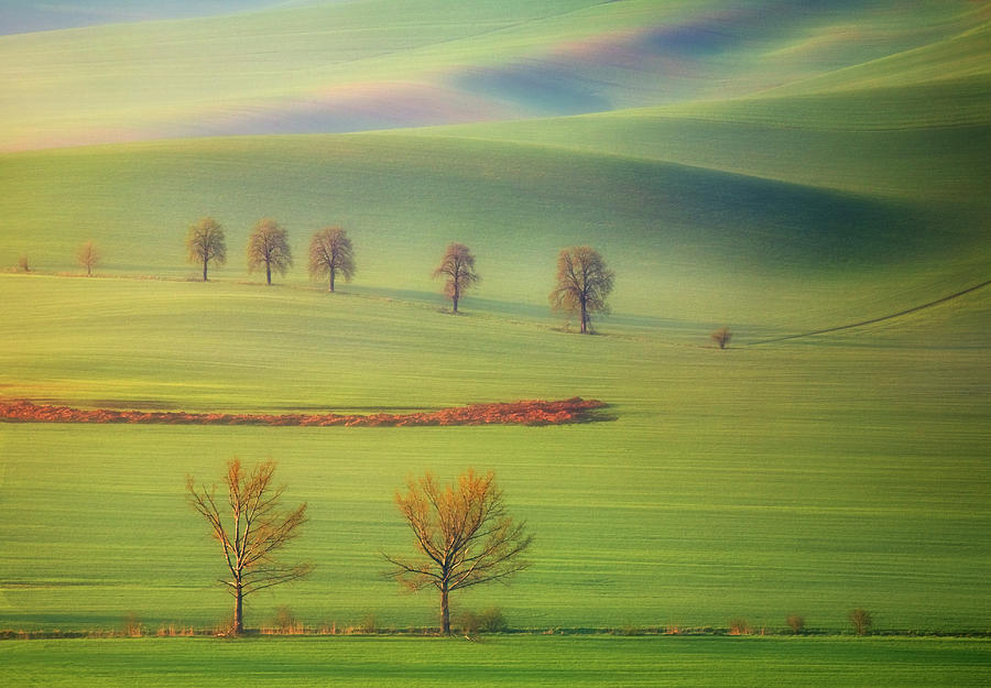 Fields #1 Photograph by Krzysztof Browko