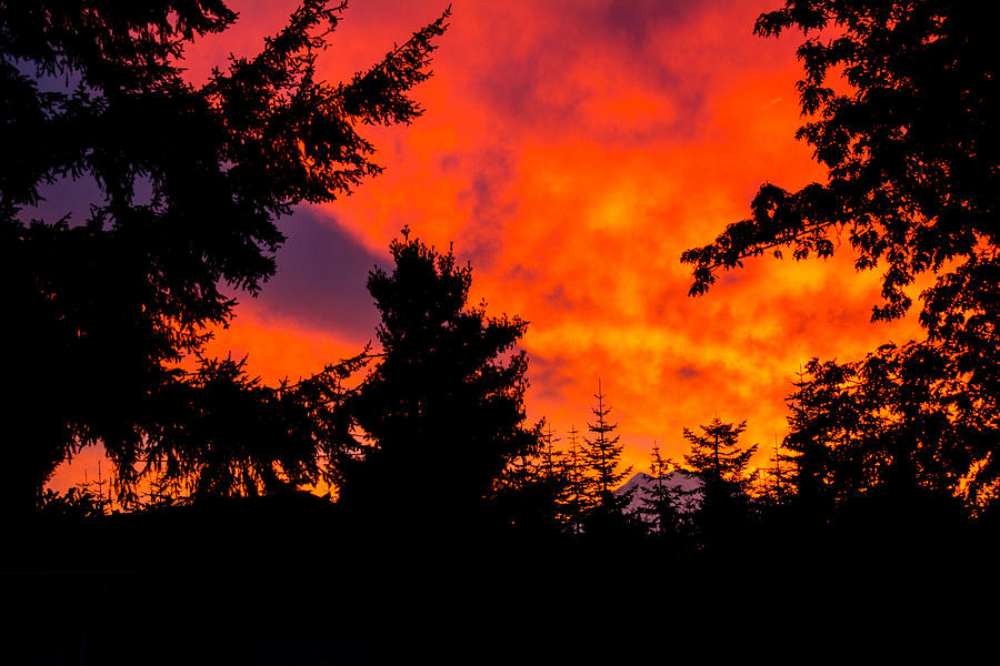 Fiery Dawn #2 Photograph by Tikvahs Hope