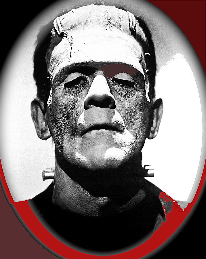 Film Homage Boris Karloff The Bride Of Frankenstein 1935 Publicity Photo 1935-2012 #1 Photograph by David Lee Guss