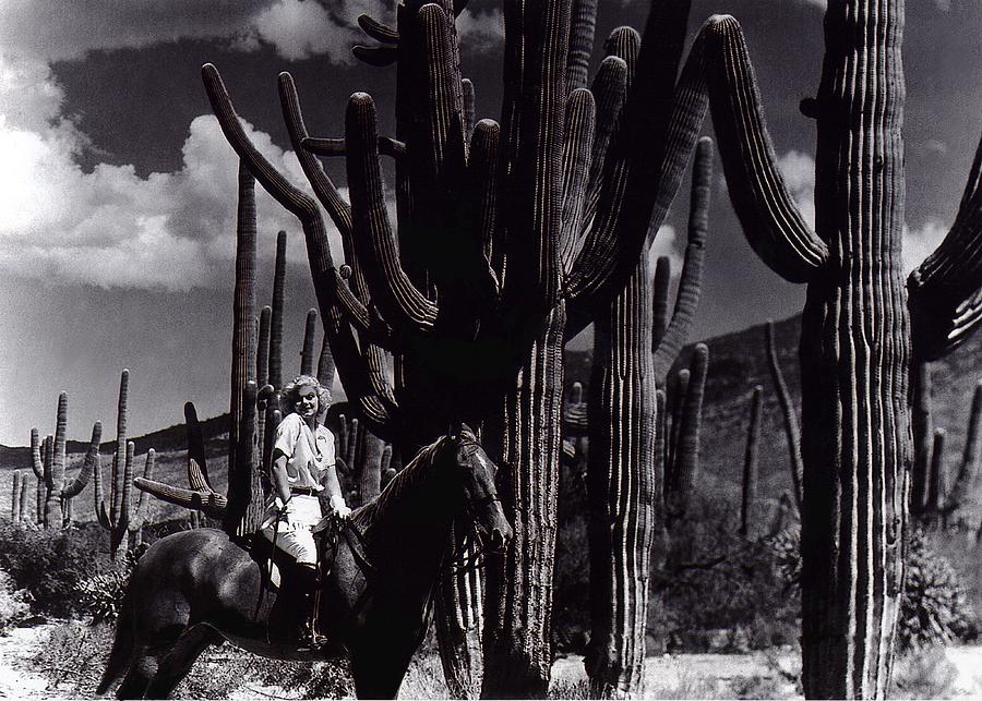 Film Homage Jean Harlow Bombshell 1933 Saguaro National Monument Tucson Arizona Duo-tone 2008 #4 Photograph by David Lee Guss