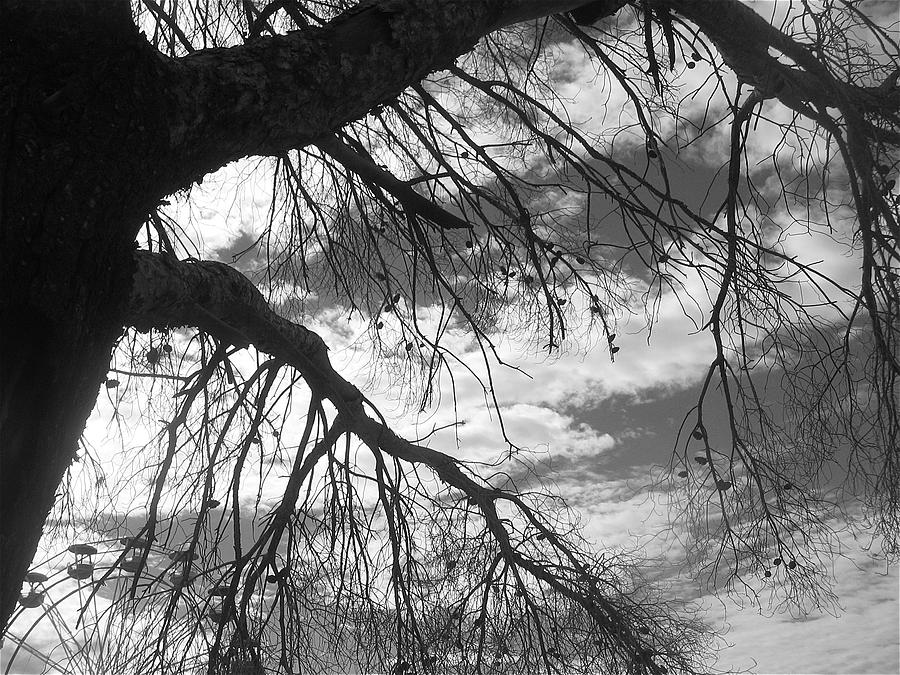 Film Noir Orson Welles Joseph Cotten Valli The Third Man 1950 Carnival Eloy Arizona 2005 #1 Photograph by David Lee Guss