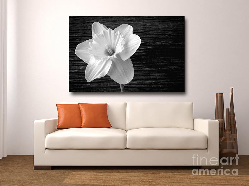 Flowers Still Life Photograph - Fine art photography in the home #2 by Edward Fielding