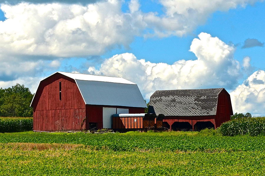 Finger Lakes Farm #1 Photograph by Frozen in Time Fine Art Photography