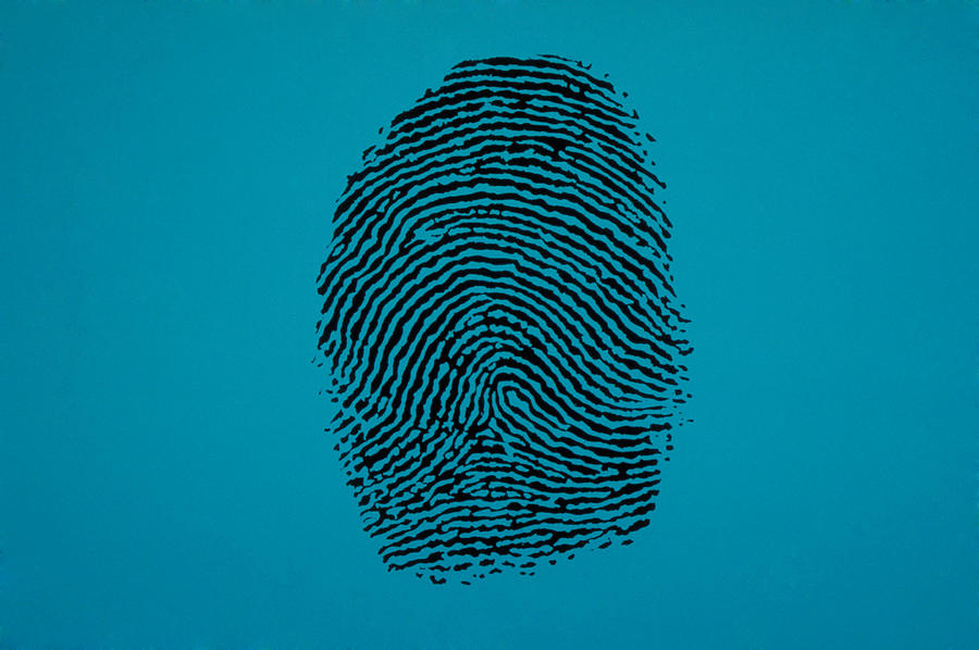 Fingerprint #1 Photograph by Chris Bjornberg