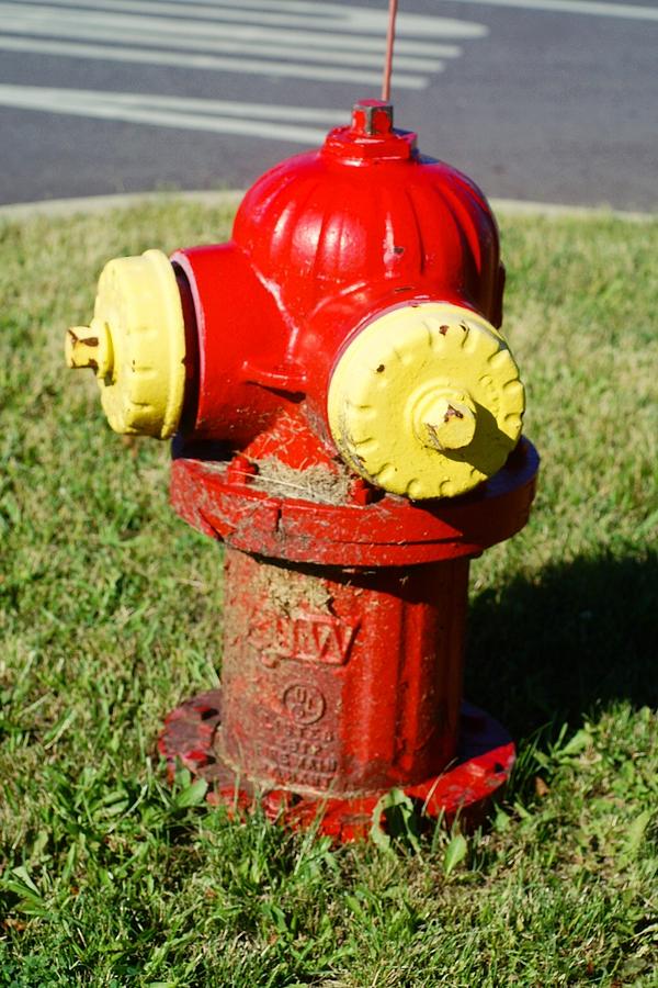 Fire Hydrant Photograph by Magi Yarbrough - Fine Art America