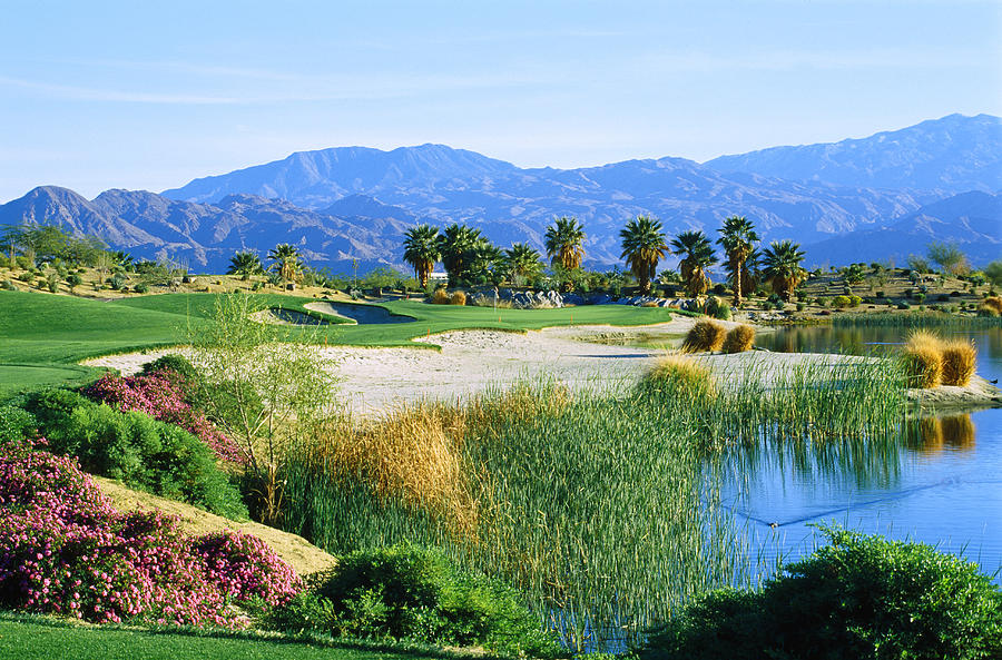 Firecliff Golf Course, Desert Willow Photograph by Panoramic Images ...