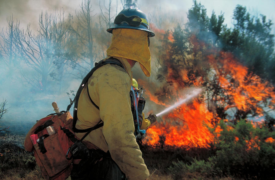 Firefighters #1 Photograph by Kari Greer/science Photo Library