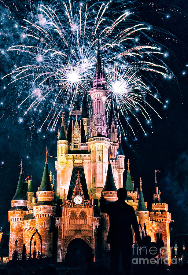 Fireworks Over Cinderellas Castle Photograph