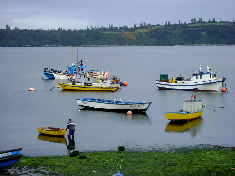 Boat Photograph - Fishing Boats #1 by Ben Adkison