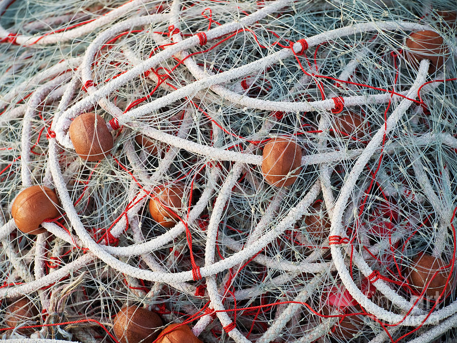 Fishing Nets Photograph