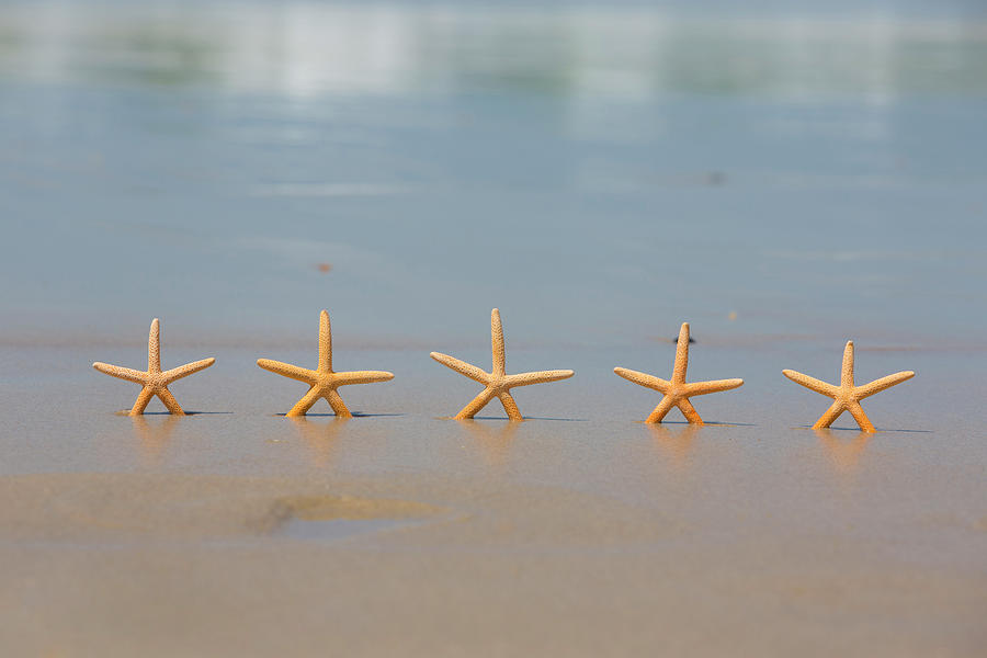 Five Star Beach Holiday Concept #1 Photograph by David Freund