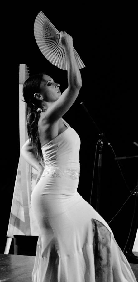 Flamenco #1 Photograph by AM FineArtPrints