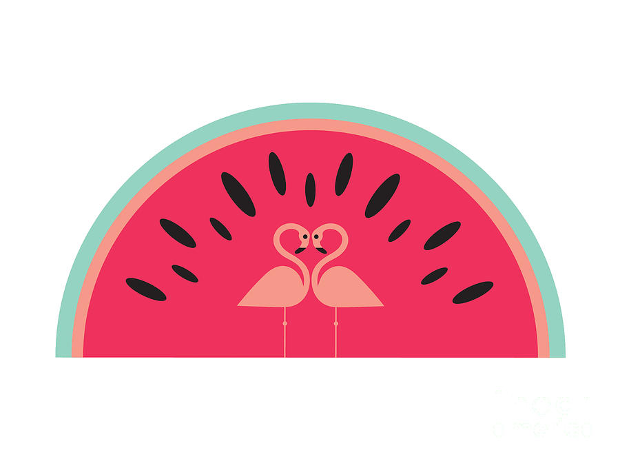 Flamingo Digital Art - Flamingo Watermelon #1 by MGL Meiklejohn Graphics Licensing