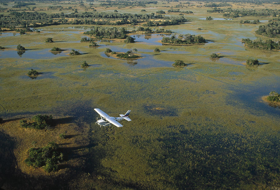 Flight Safari Okavango Delta Botswana #1 Photograph by Konrad Wothe