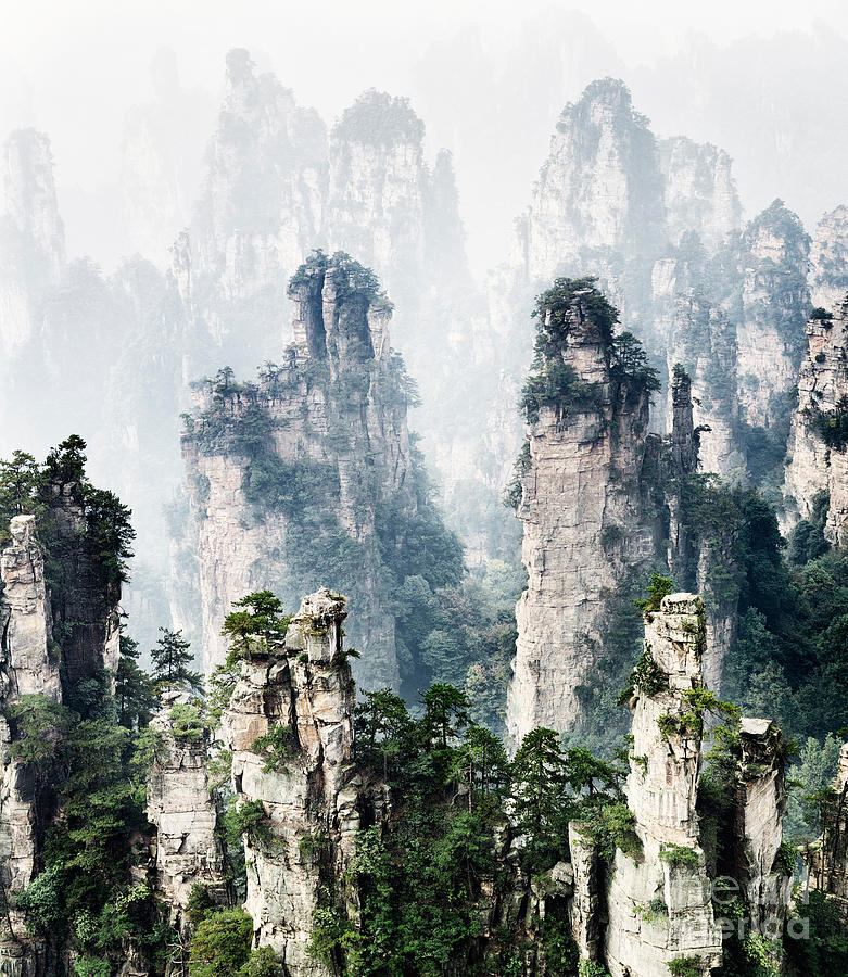 Floating mountains Zhangjiajie National Forest Park #1 Photograph by Maxim Images Exquisite Prints