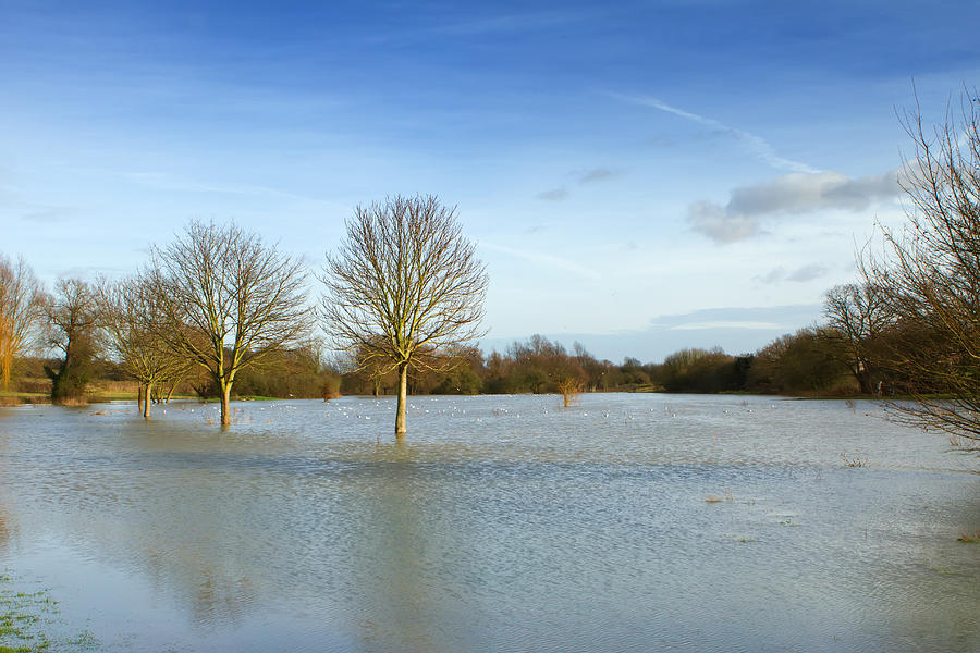 Nature Photograph - Flooded Field In Rural Essex #1 by Fizzy Image
