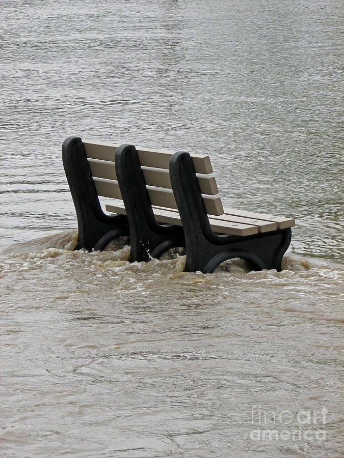 Flooded Seat  Photograph by Jamie Smith