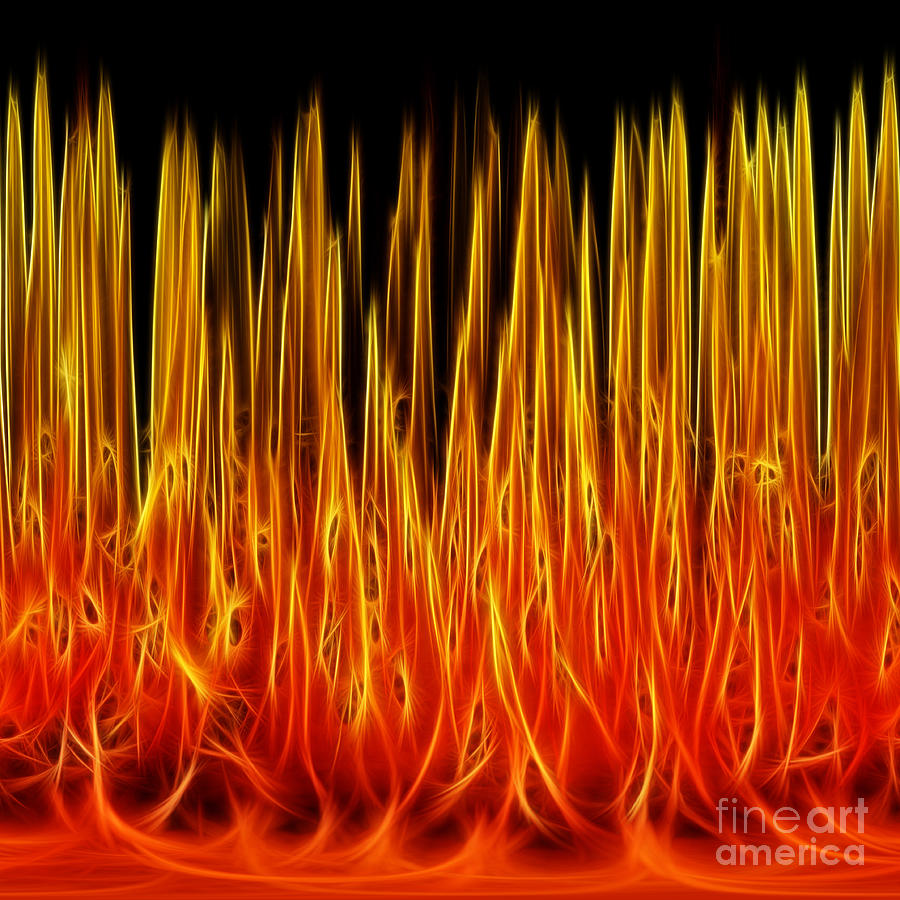 Abstract Photograph - Floral Flames #1 by Kaye Menner