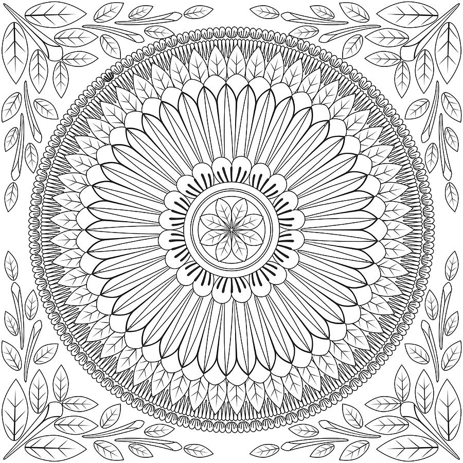 Floral Mandala Pattern Adult Coloring Page. #1 Drawing by Diane Labombarbe