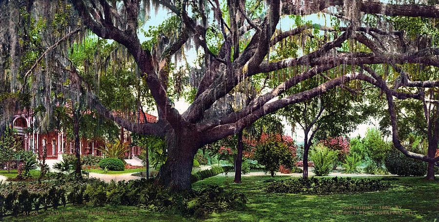 Florida Tampa Bay, C1902 #1 Painting by Granger