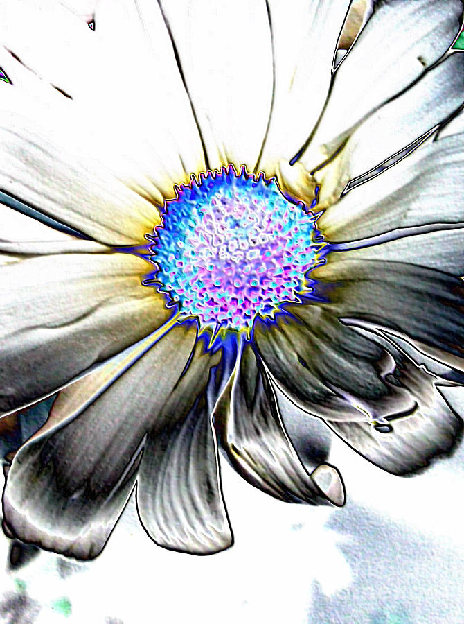 Created Daisy Flower. Grey and Purple Digital Art by Oksana Semenchenko