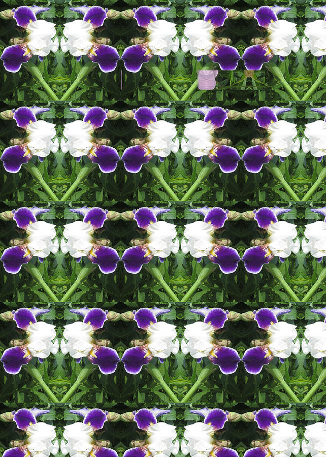 Munich Movie Photograph - Flowers from CherryHILL NJ America White  Purple Combination Graphically Enhanced Innovative Pattern #1 by Navin Joshi