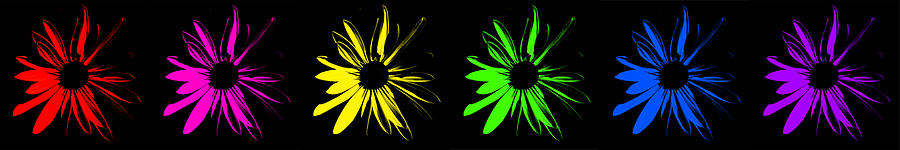 Flowers on Black Digital Art by Maggy Marsh