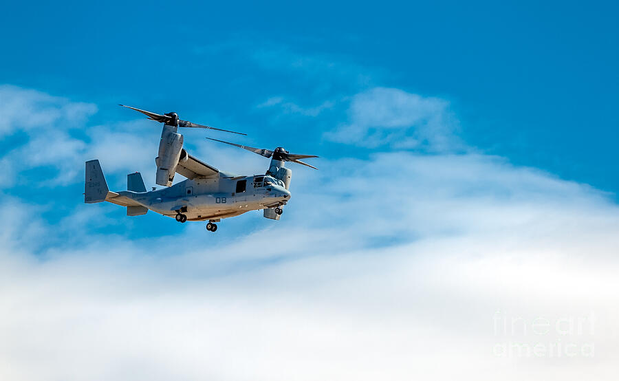 Flying  Osprey #1 Photograph by Robert Bales