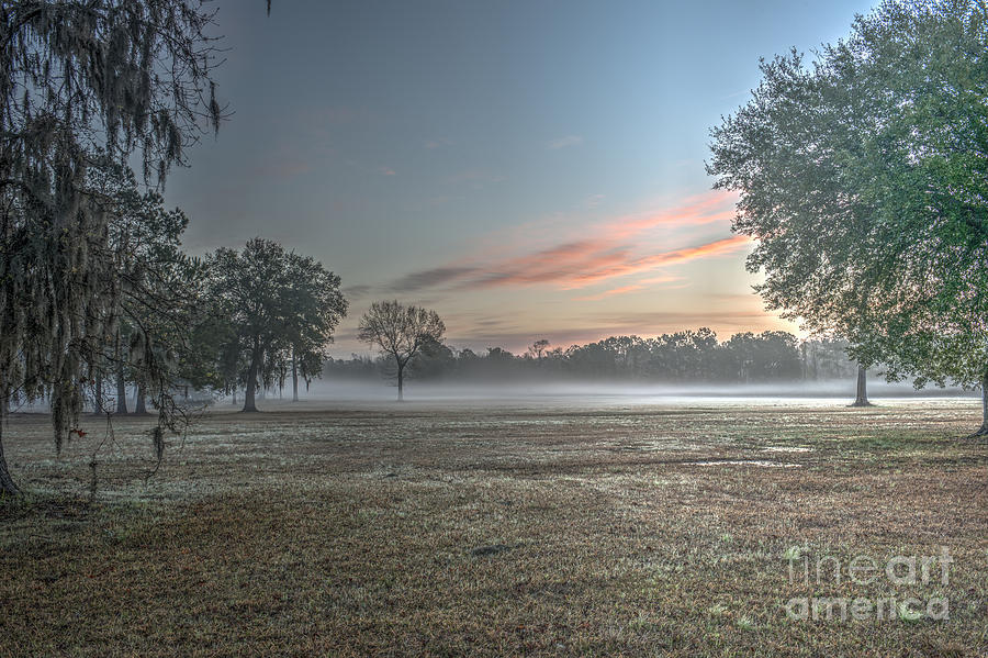 Fog In The Lowcountry Photograph