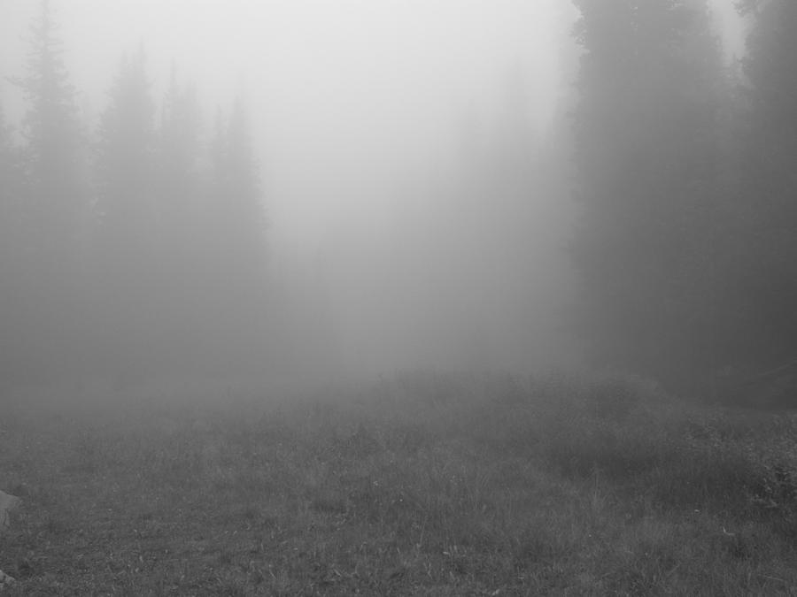 Fog in Tileston meadow #1 Photograph by Thomas Samida