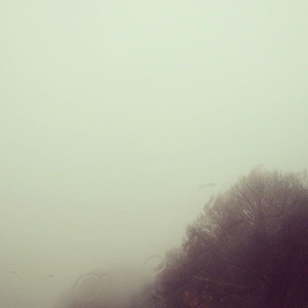 Nature Photograph - fog #1 by Nao Kato