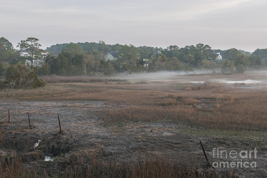 Fog Over The Marsh Photograph