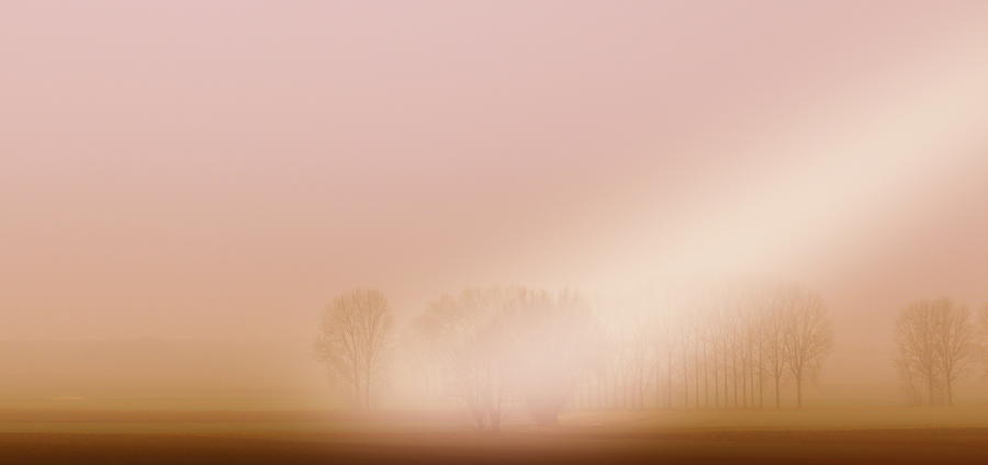 Fantasy Photograph - Foggy Morning #1 by Franziskus Pfleghart