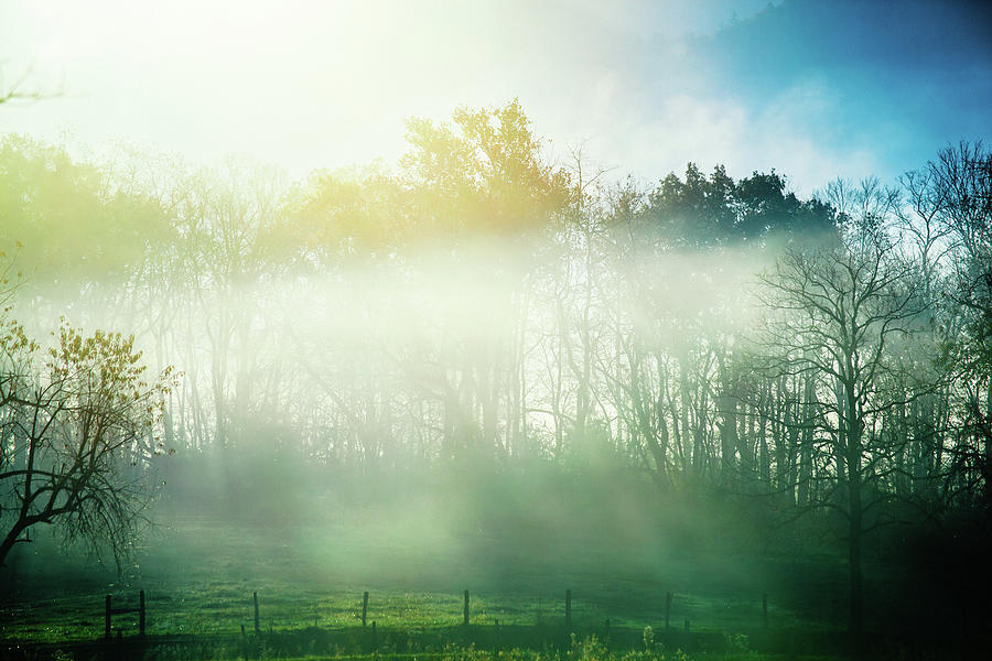 Foggy Morning In The Country Side Photograph by Moreiso - Fine Art America