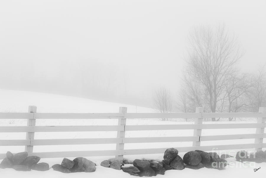 Foggy Winters Day #1 Photograph by Alana Ranney