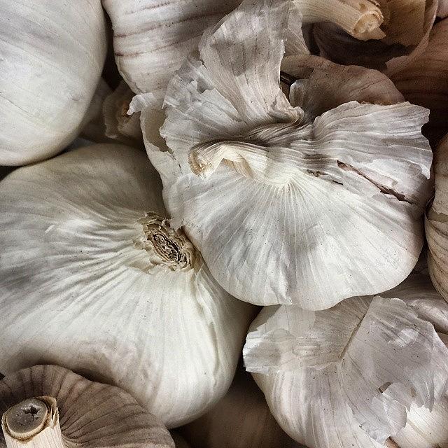Food Photograph - Garlic by Jason Roust