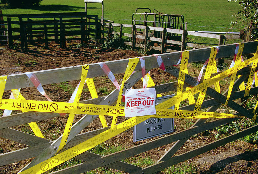 Foot And Mouth Exclusion Zone #1 Photograph by David Hay Jones/science Photo Library