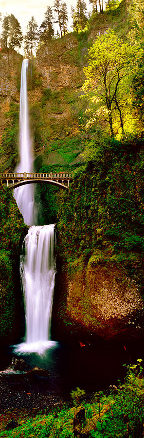 Waterfall Photograph - Footbridge In Front Of A Waterfall #1 by Panoramic Images