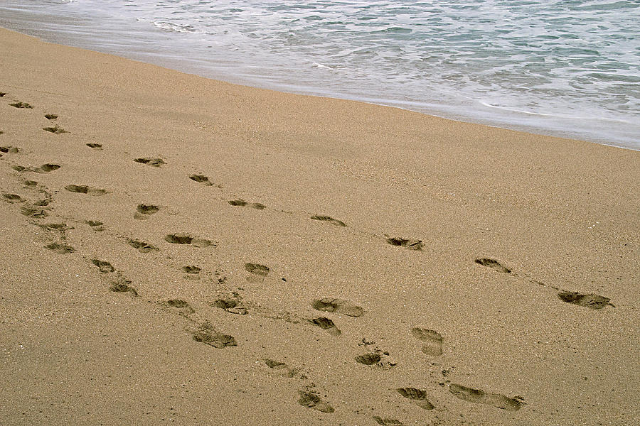 Footprints in the Sand Photo #1 Photograph by Peter J Sucy