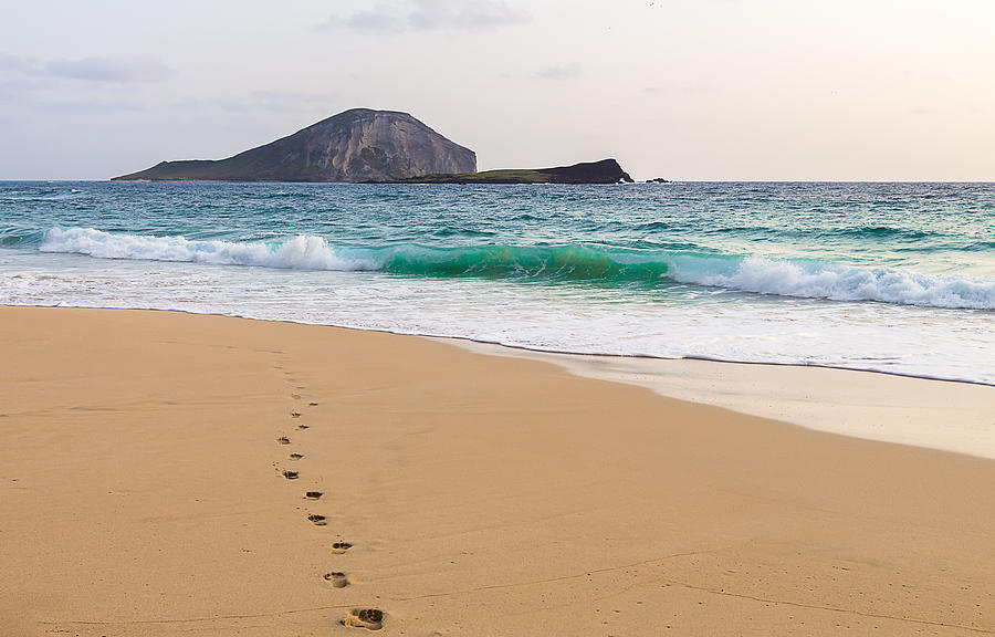 Footprints To The Ocean #1 Photograph by Leigh Anne Meeks