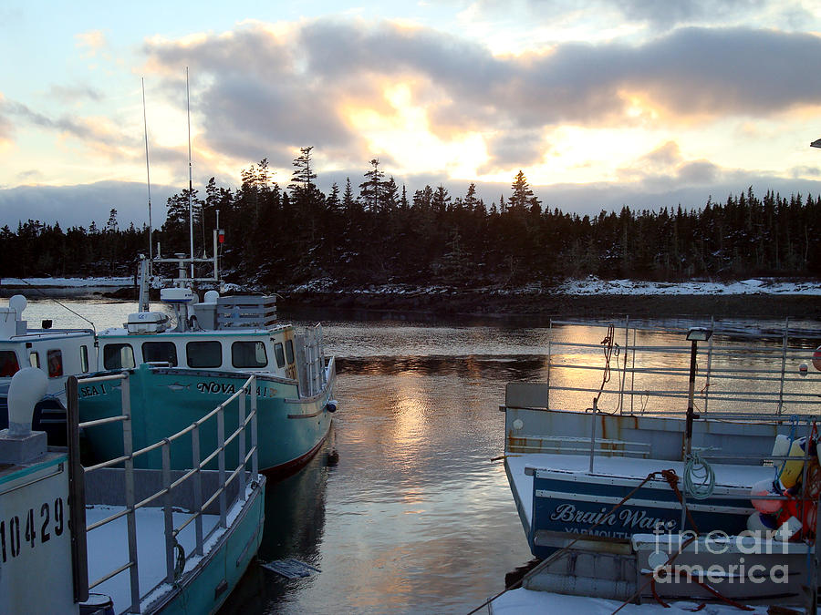 Forbes Point Wharf #1 Photograph by Daryl Macintyre - Fine Art America