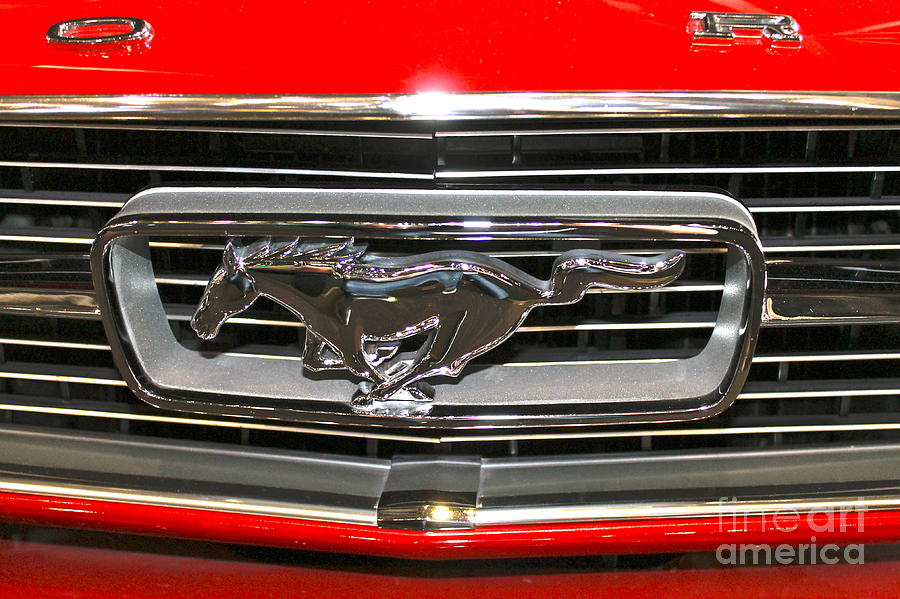 Ford Mustang Photograph by Pamela Walrath