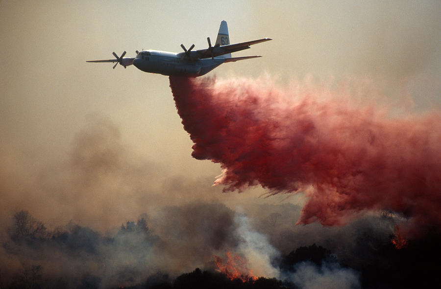 Forest Fire #1 Photograph by Richard Hansen